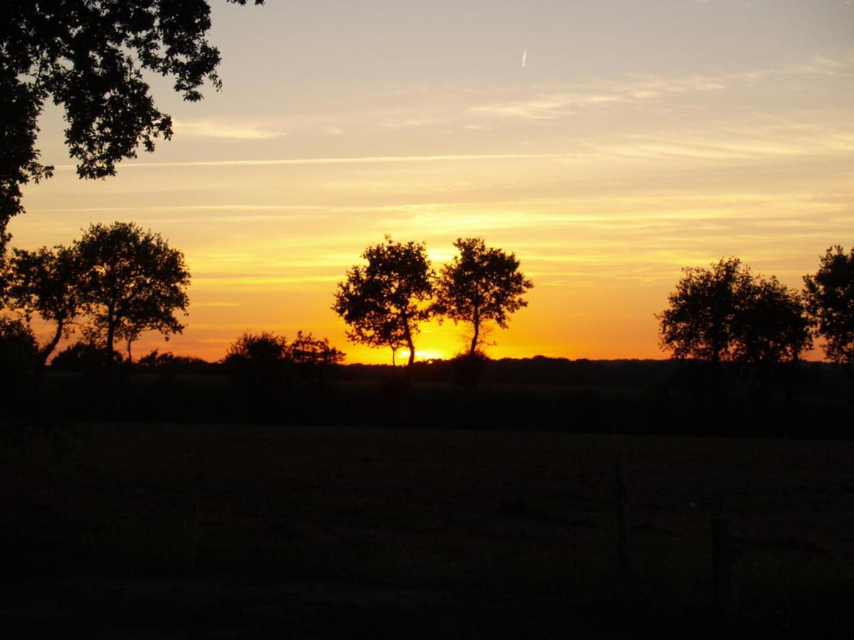 Camping Chez L'Habitant Noyal-Muzillac Luaran gambar